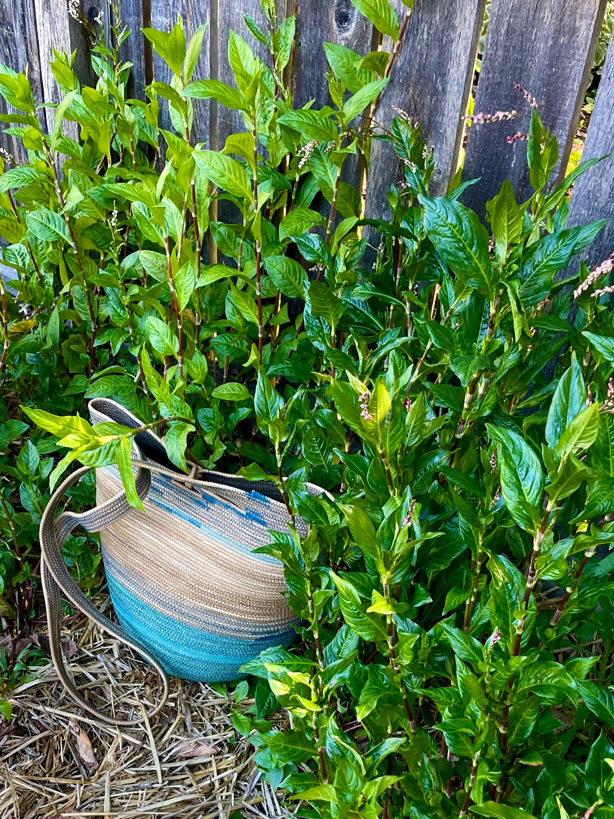 Annapolis Foraging Basket